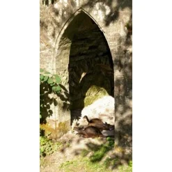 3D Rat 11 3D Rat -Sabels Verkoopwinkel 3d rat 4