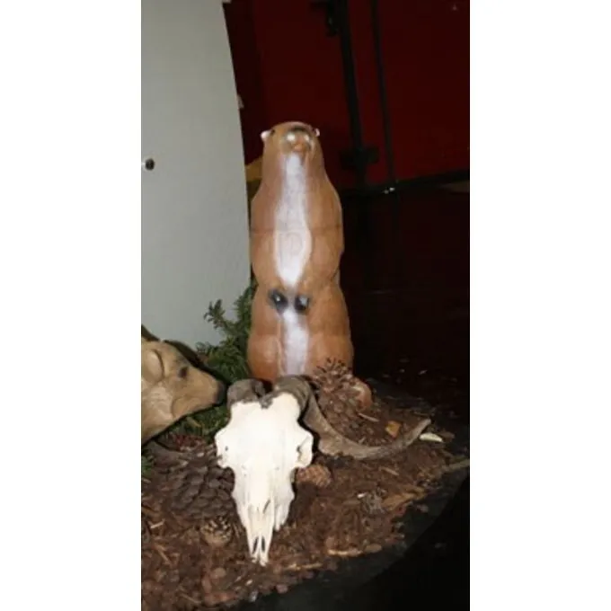 3D Staande Marmot 4 3D Staande Marmot - Afbeelding 2