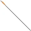 Koolstof Pijl 30" (76 Cm) 2 Koolstof Pijl 30" (76 Cm) -Sabels Verkoopwinkel koolstof pijl 30 76 cm